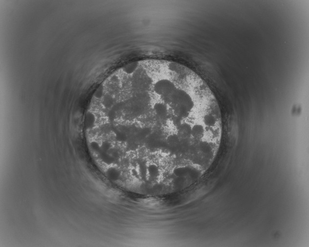 X0000112530511200909141250