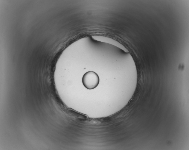 X0000112530512200909141250