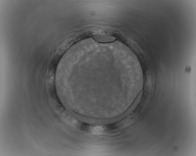 X0000112530513200909141250