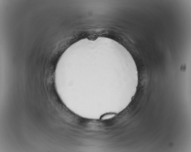 X0000112530515200909141250