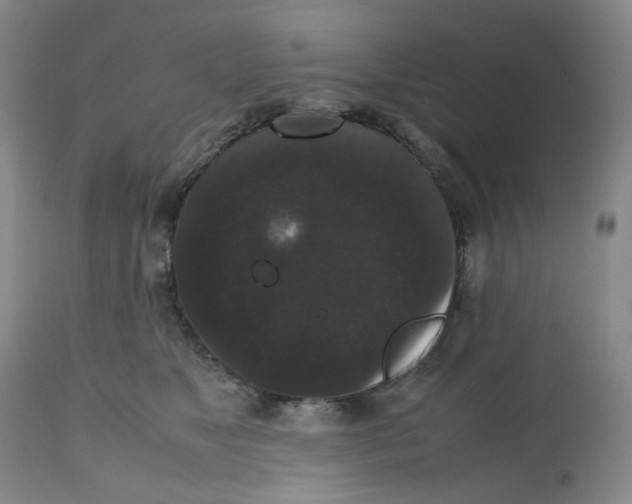 X0000112530517200909141250