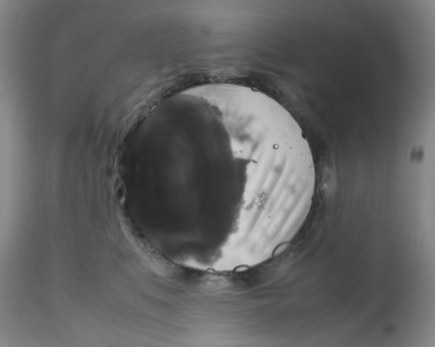 X0000112530519200909141250