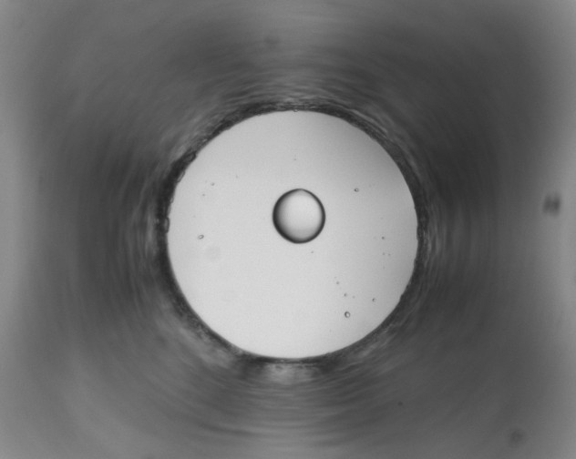 X0000112530520200909141250