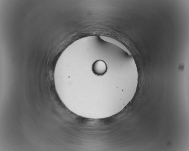 X0000112530521200909141250