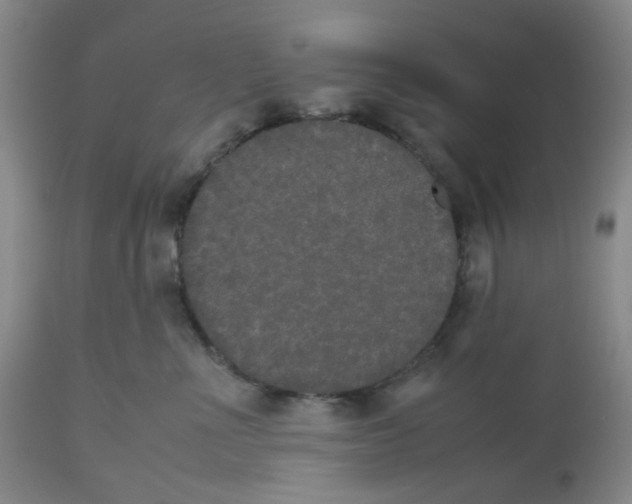 X0000112530523200909141250