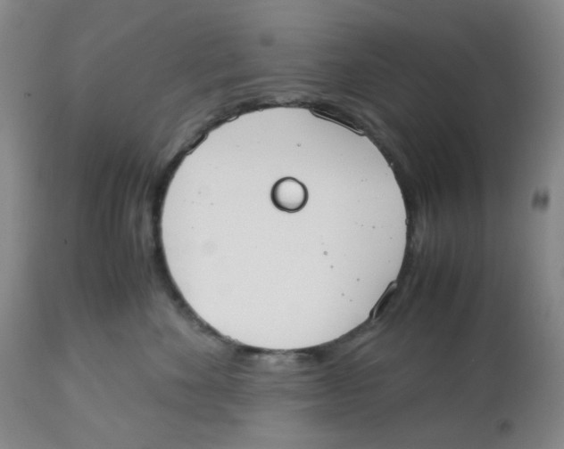 X0000112530524200909141250