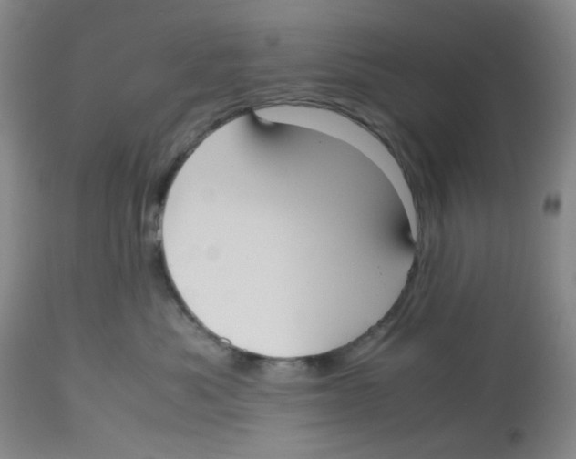 X0000112530525200909141250