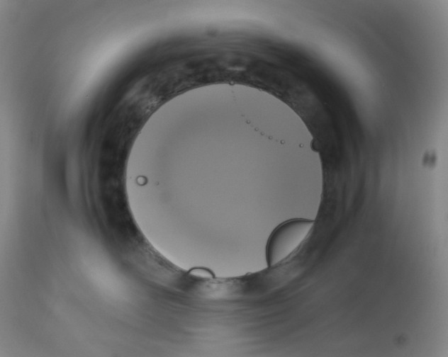 X0000112530526200909141250