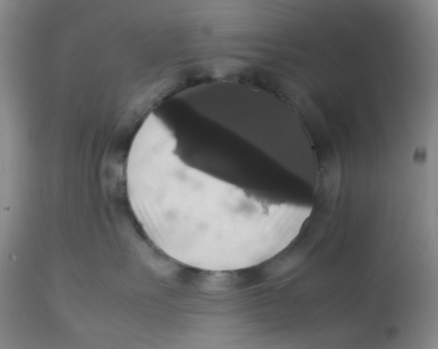 X0000112530527200909141250