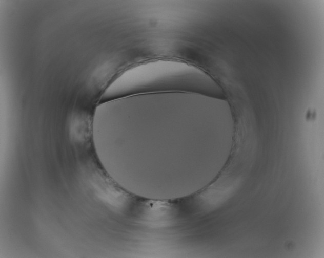 X0000112530528200909141250