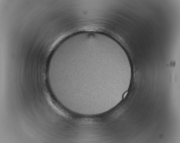 X0000112530530200909141249