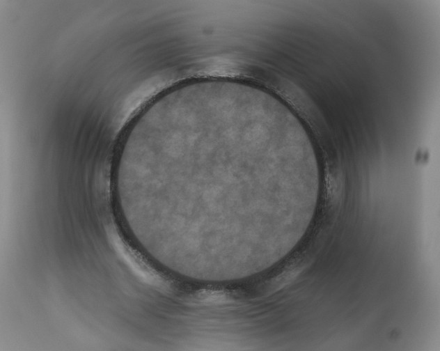 X0000112530534200909141249