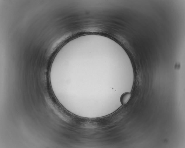 X0000112530535200909141249