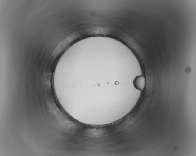 X0000112530537200909141249