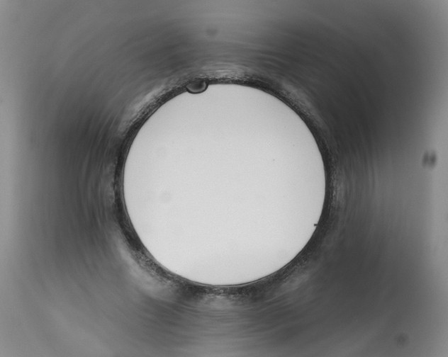 X0000112530538200909141249