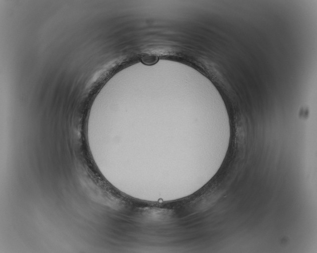 X0000112530539200909141249