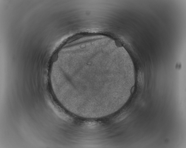 X0000112530540200909141249