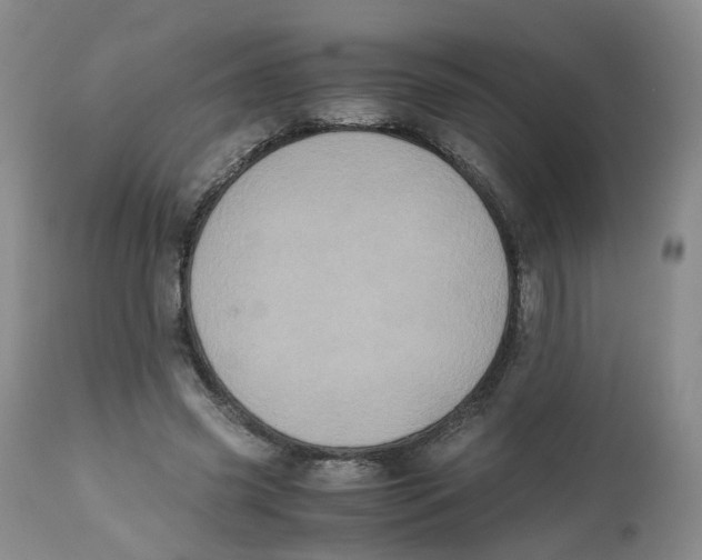 X0000112530541200909141249