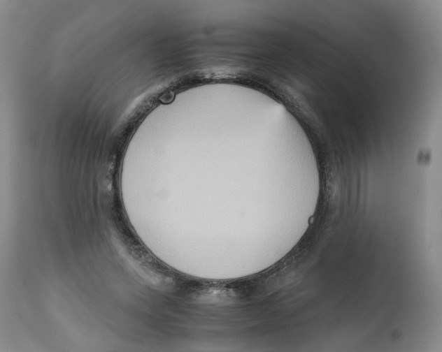 X0000112530543200909141249