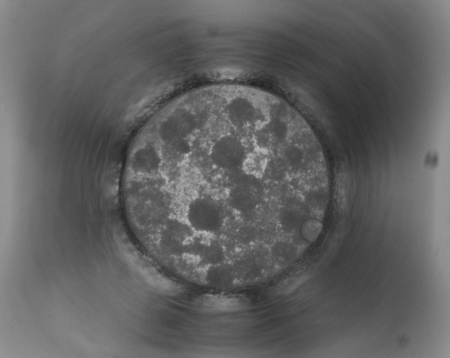 X0000112530545200909141249