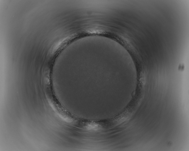 X0000112530547200909141250