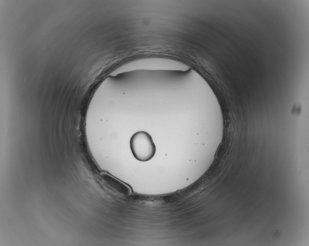 X0000112530548200909141250