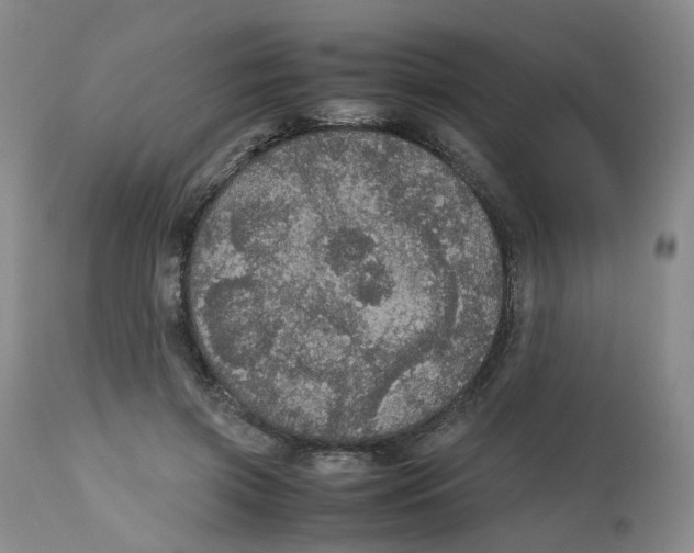 X0000112530549200909141250