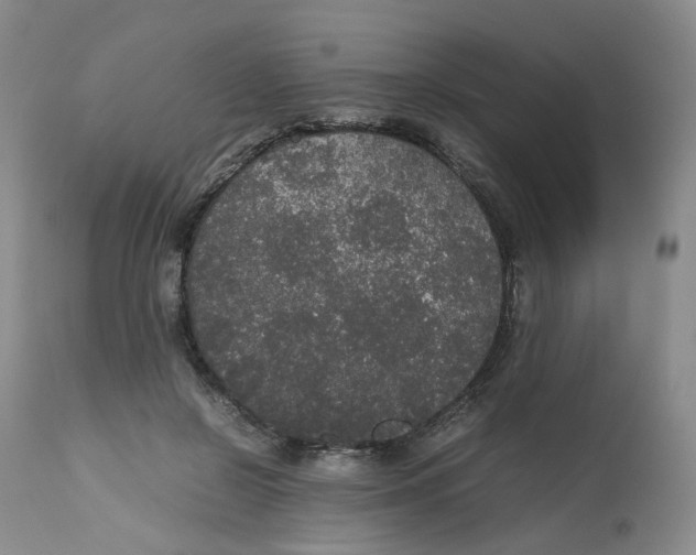 X0000112530550200909141250