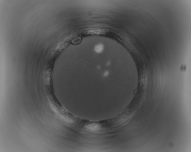 X0000112530551200909141250