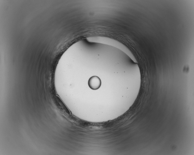 X0000112530552200909141250