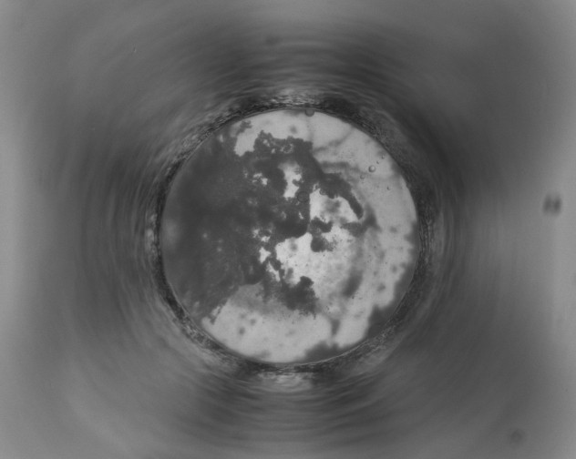 X0000112530553200909141250