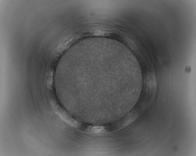 X0000112530554200909141250