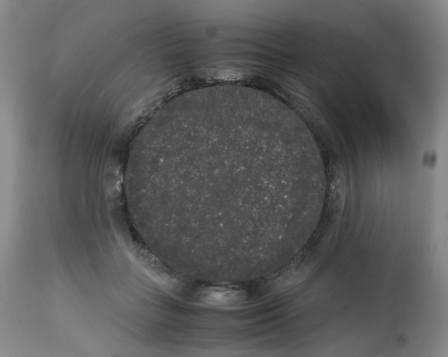 X0000112530555200909141250