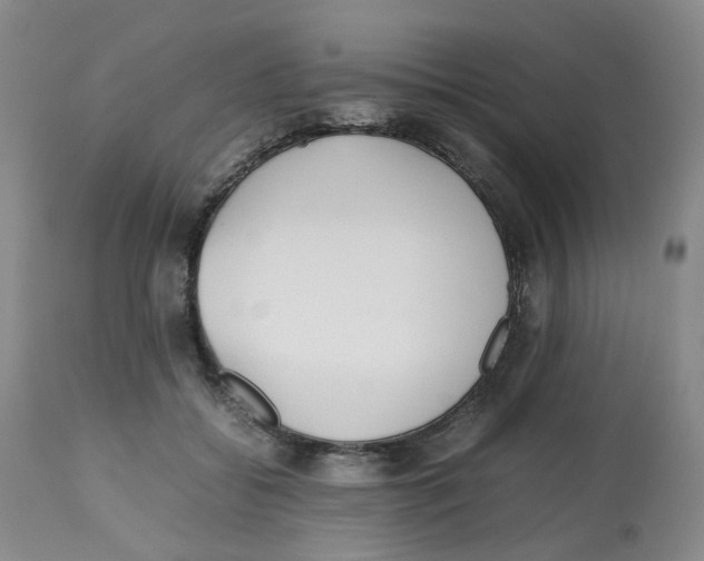 X0000112530556200909141250