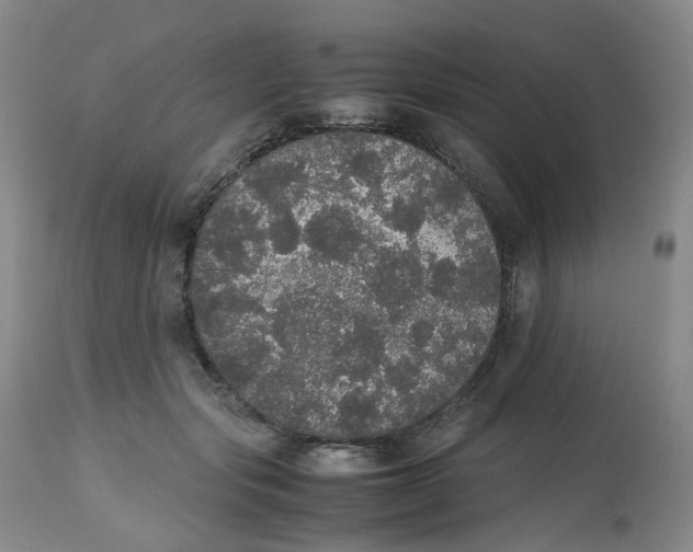 X0000112530557200909141250