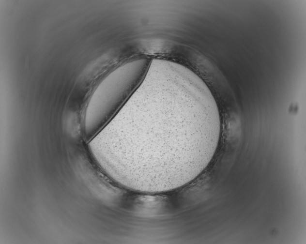 X0000112530558200909141250