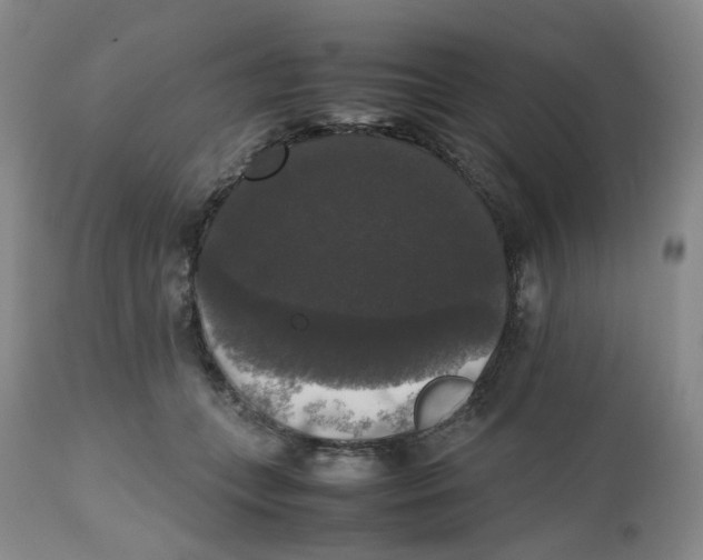 X0000112530559200909141250