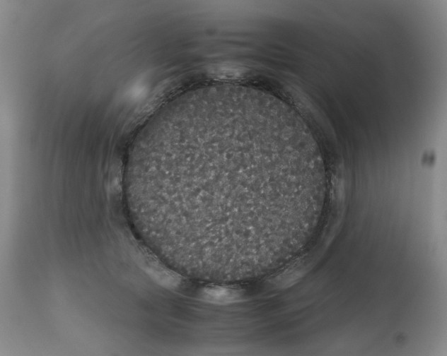 X0000112530561200909141250