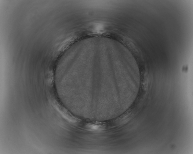 X0000112530563200909141250