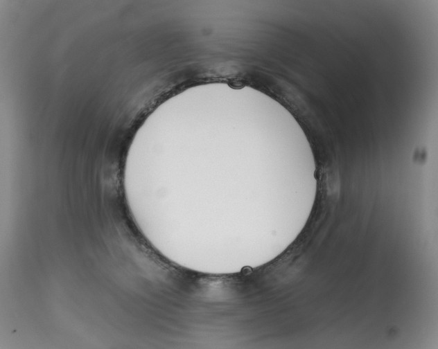 X0000112530564200909141250