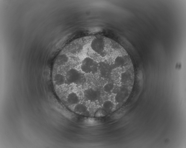 X0000112530565200909141250