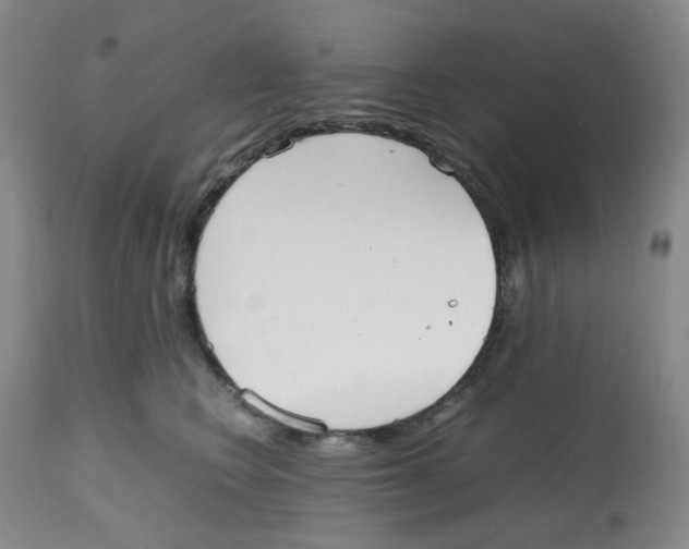 X0000112530566200909141250