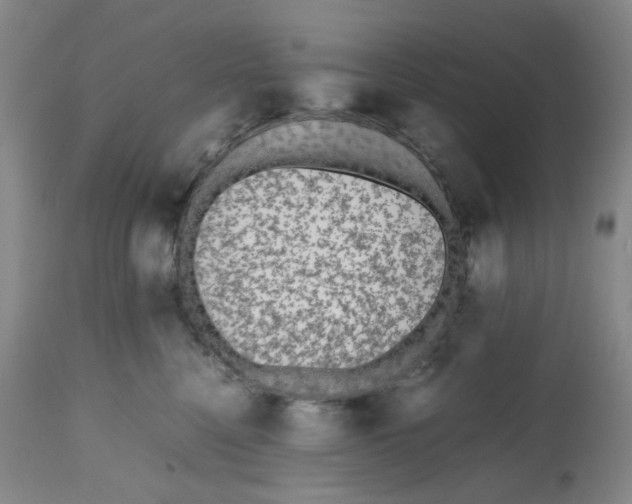 X0000112530568200909141250