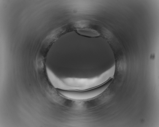 X0000112530570200909141250