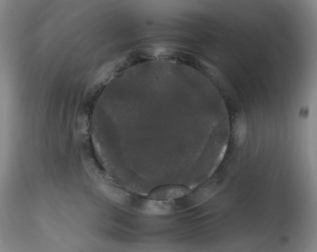 X0000112530571200909141250