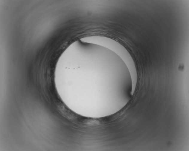 X0000112530572200909141250