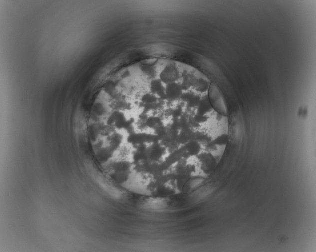 X0000112530573200909141250