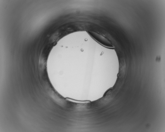 X0000112530574200909141250