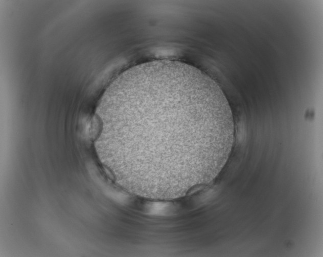 X0000112530575200909141250