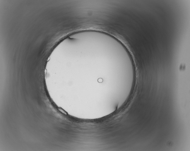 X0000112530577200909141249